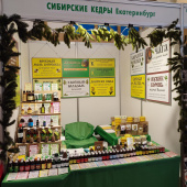 Владимир 