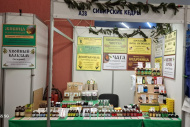 Санкт-Петербург 